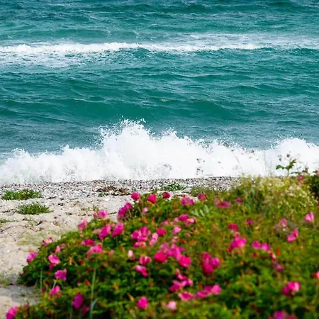 8473-ebeltoft-avej-8 Ebeltoft